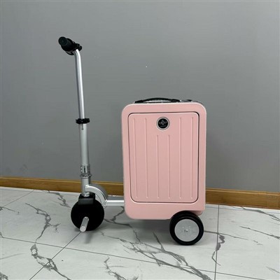 Viatge-equipatge amigable